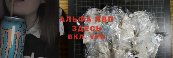 ГАЛЛЮЦИНОГЕННЫЕ ГРИБЫ Кукмор