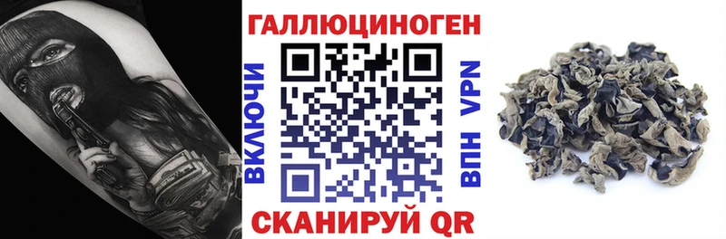 где можно купить   Агидель  Галлюциногенные грибы мицелий 